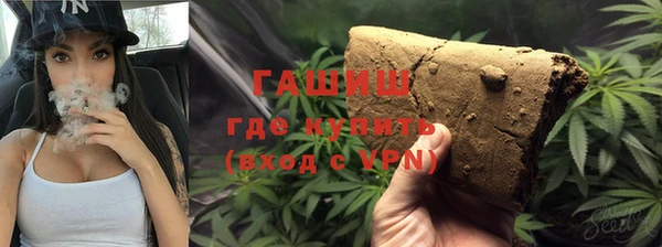 крисы Надым