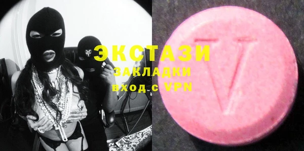 крисы Надым