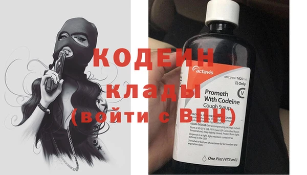крисы Надым