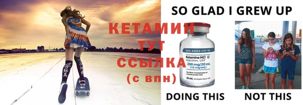 крисы Надым