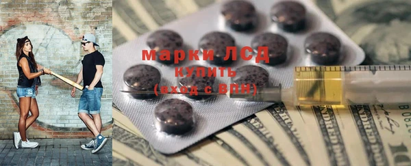 крисы Надым