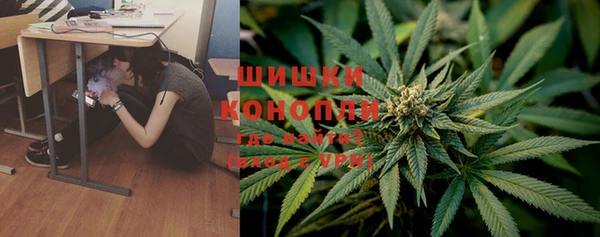 крисы Надым