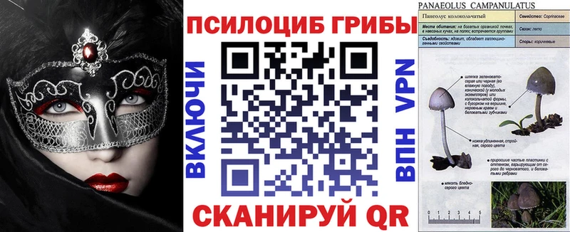 это наркотические препараты  где продают наркотики  Козловка  Галлюциногенные грибы MAGIC MUSHROOMS 